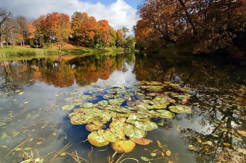 Оссенние прогулкиphoto preview