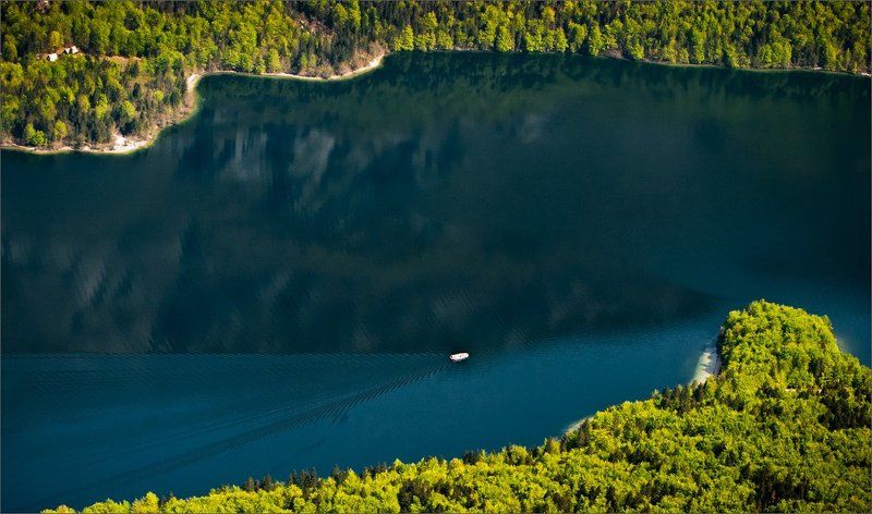 Из-под крыла ...photo preview