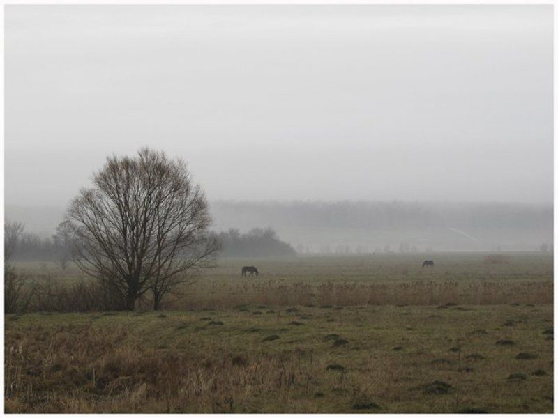 осень, утро Утро....photo preview