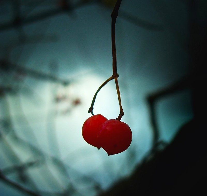 love is....photo preview