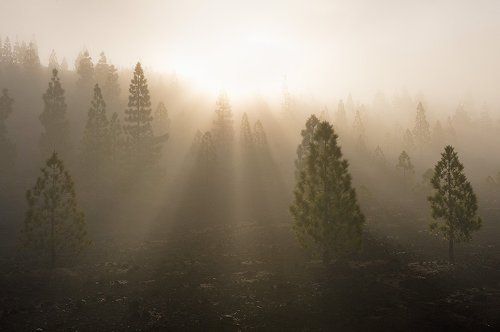 Рассвет в Лас Каньядас дель Тейде