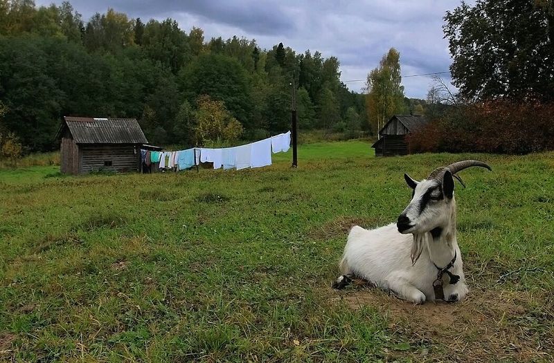 Субботаphoto preview