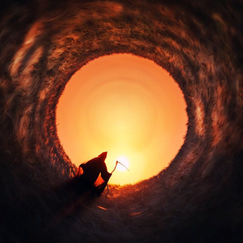 wwwest Отшельникphoto preview