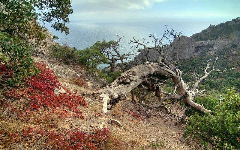 Осень в Крымуphoto preview