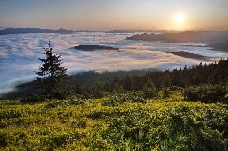 карпаты, природа, пейзаж, утро, путешествие ***photo preview