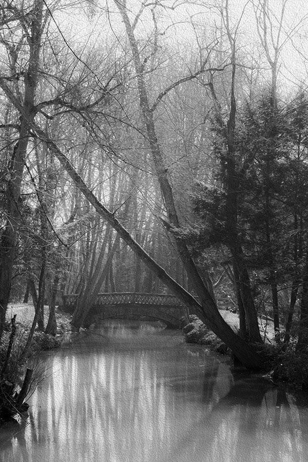 .... Автор: Maria , Maria