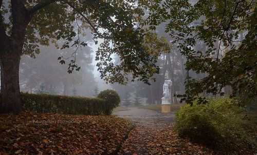 В старом парке