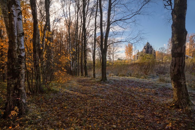 Осеньphoto preview