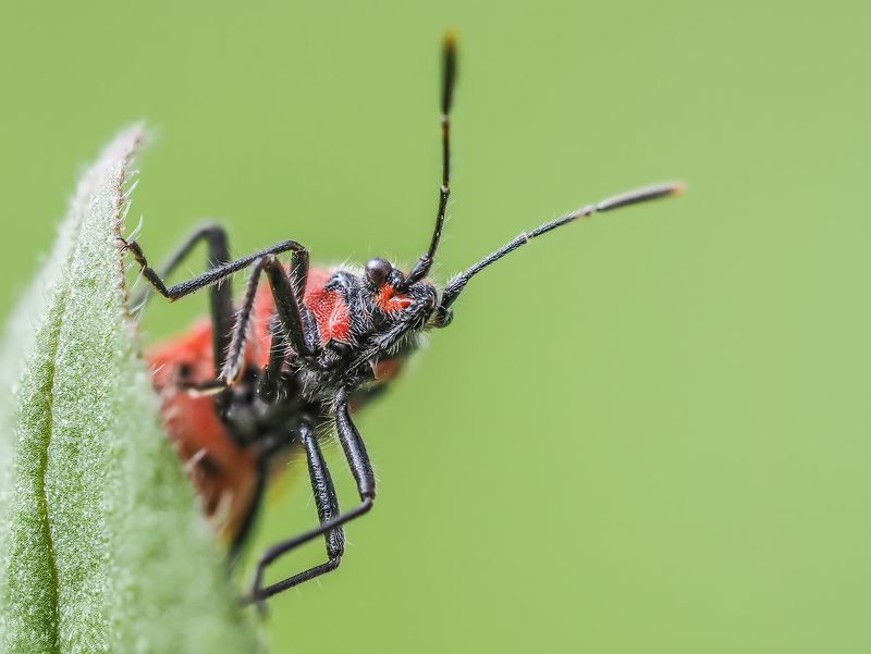 Кто там?photo preview