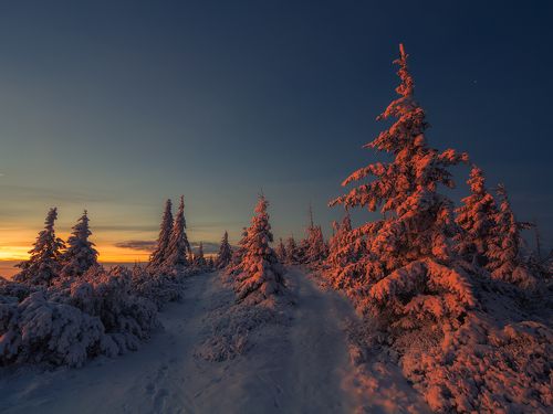 The Awakened Earth.