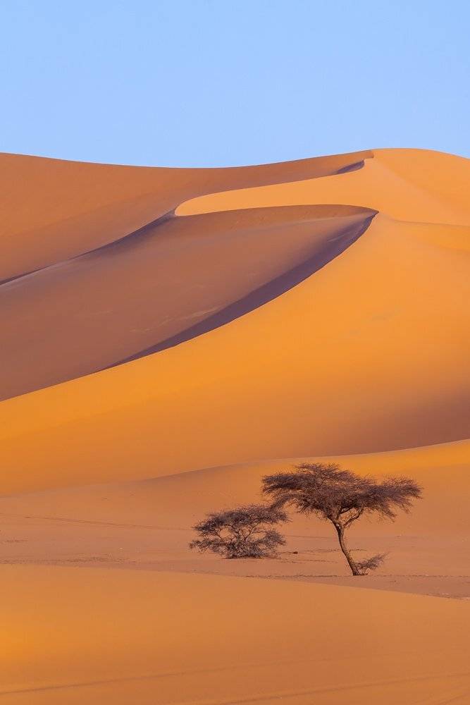 сахара, тадрарт, алжир, африка, пустыня, Арсений Кашкаров