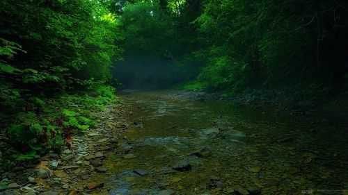 В предрассветном сумраке