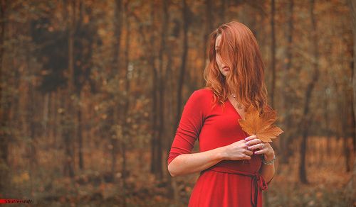 .red autumn