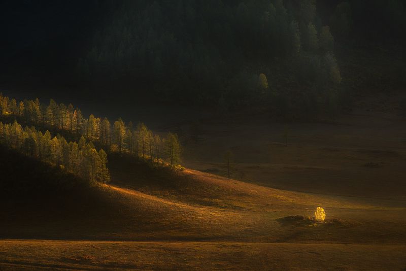 алтай Осень на Алтаеphoto preview