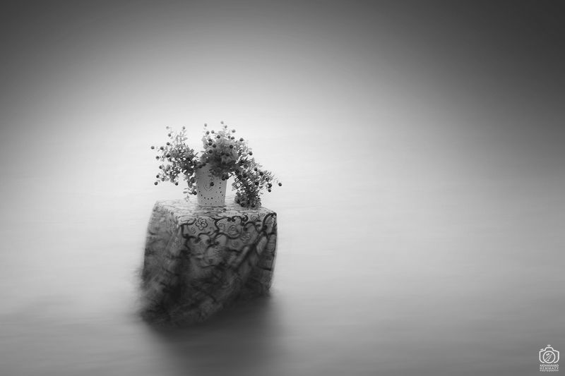 tablecloth , dance , wind , sea , longexposure , fog , flower , canon , canon80d , dream , dreamly , blackandwhite , art Dance of Tablecloth in The Wind And The Seaphoto preview