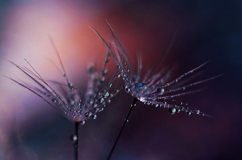 Вселеннаяphoto preview