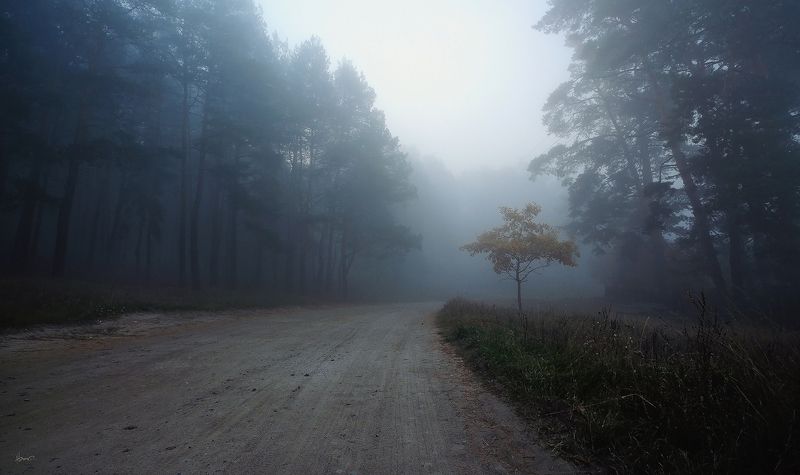 маленькая осеньphoto preview