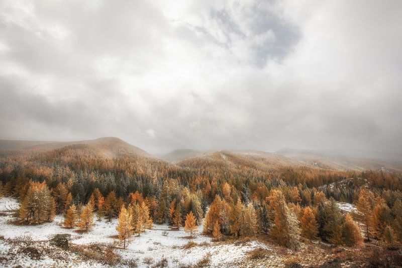 алтай, осень Холмы заснеженного алтаяphoto preview