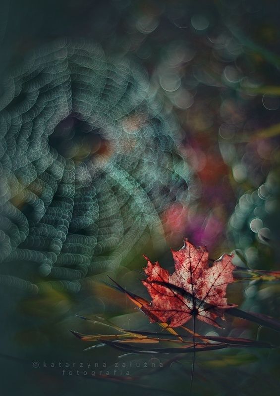 Autumn melancholy