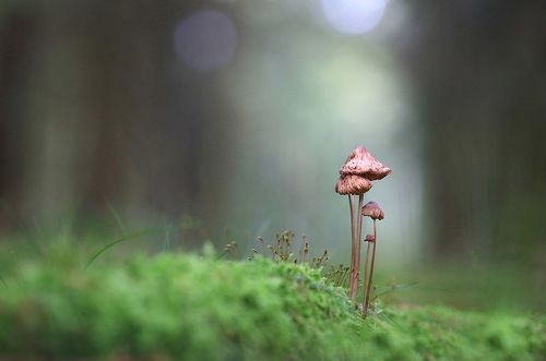 Наступают холода.