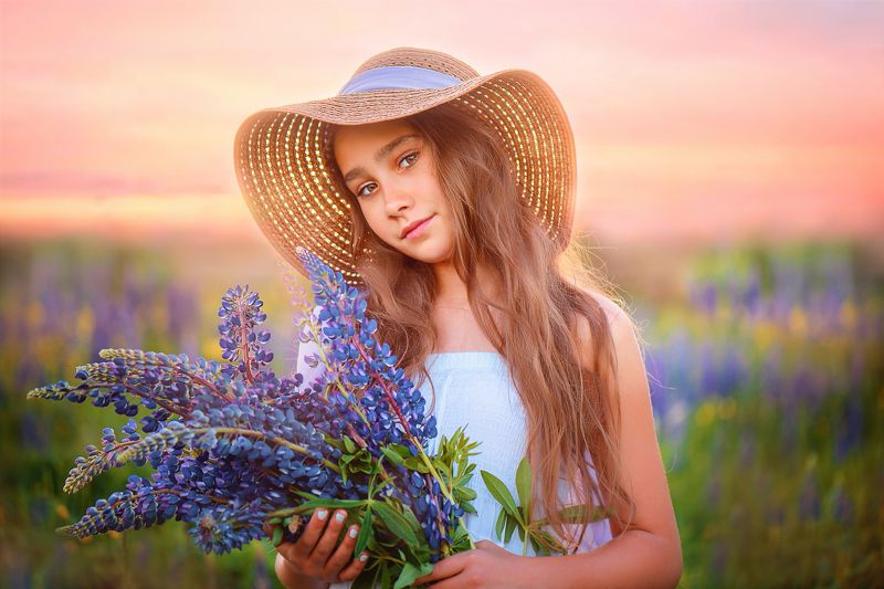 лето цветы люпины закат девочка люпиновое летоphoto preview