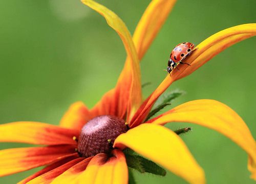 Эх прокачусь!