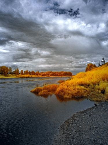 Берег одинокой птицы. Инфракрасная фотография.