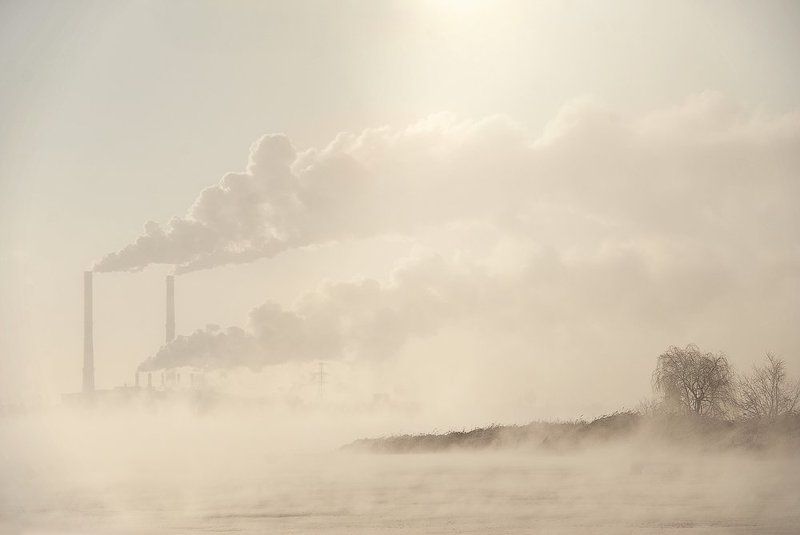 Cold morningphoto preview