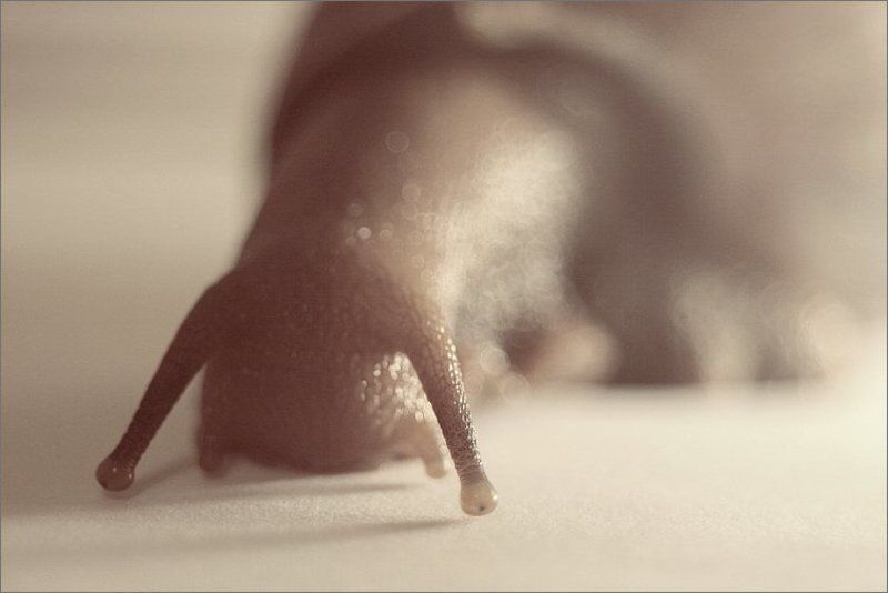 Близорукостьphoto preview