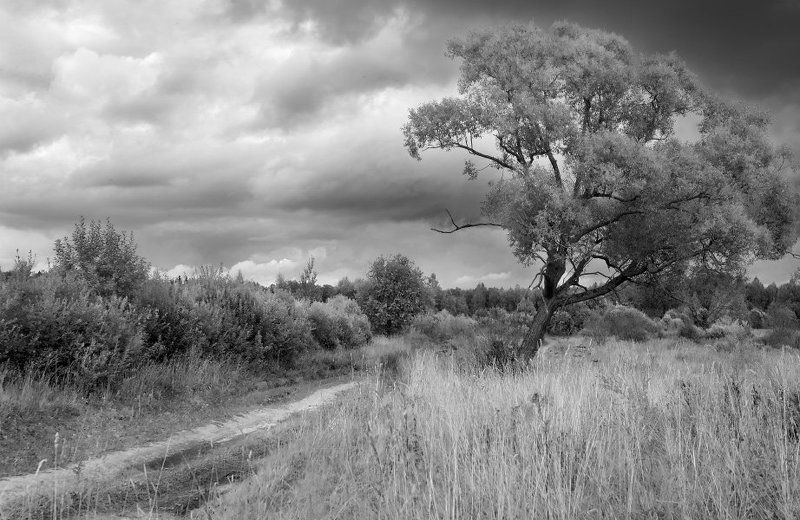 перед грозойphoto preview