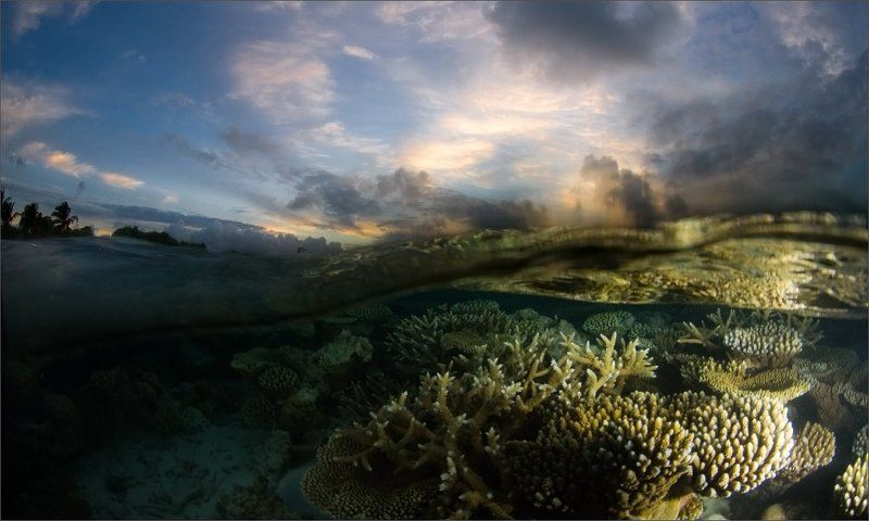 волна_накрыла Под закатным пологом океана ...photo preview