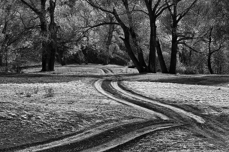 Зигзагиphoto preview