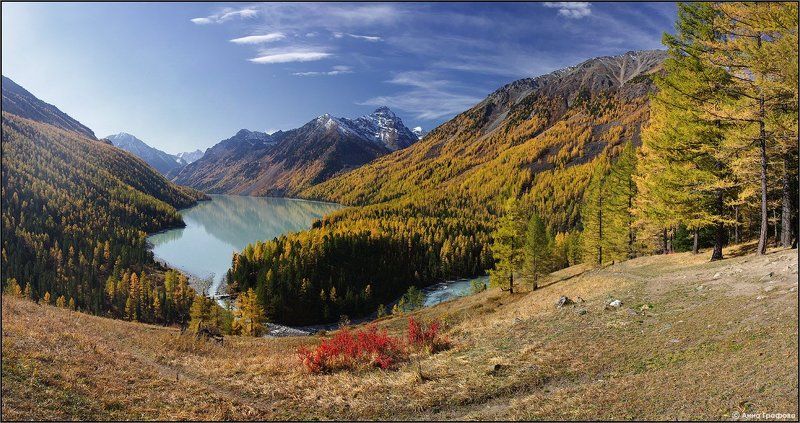 Золотые оковы осениphoto preview