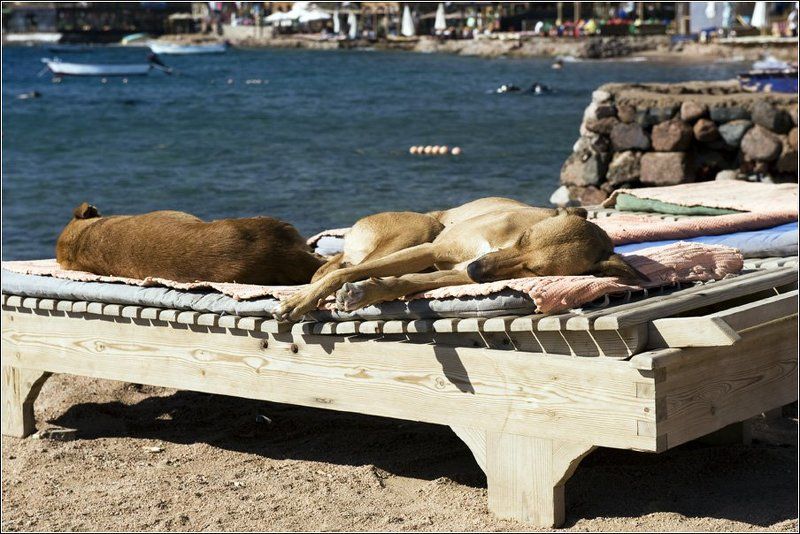 Солнечные ва-а-анны... или Всё включено...photo preview