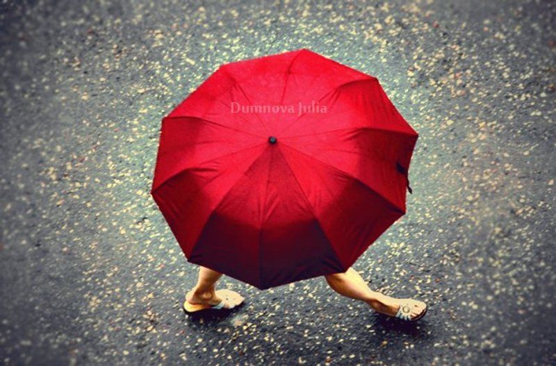 walking red umbrellaphoto preview