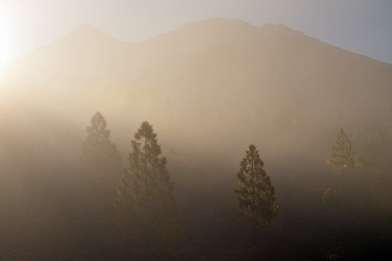 тенерифе,утро,рассвет,лас каньядас дель тейде,туман ***photo preview