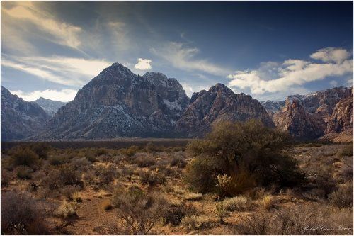 Desert