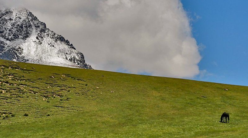 Джайляо (воля)photo preview