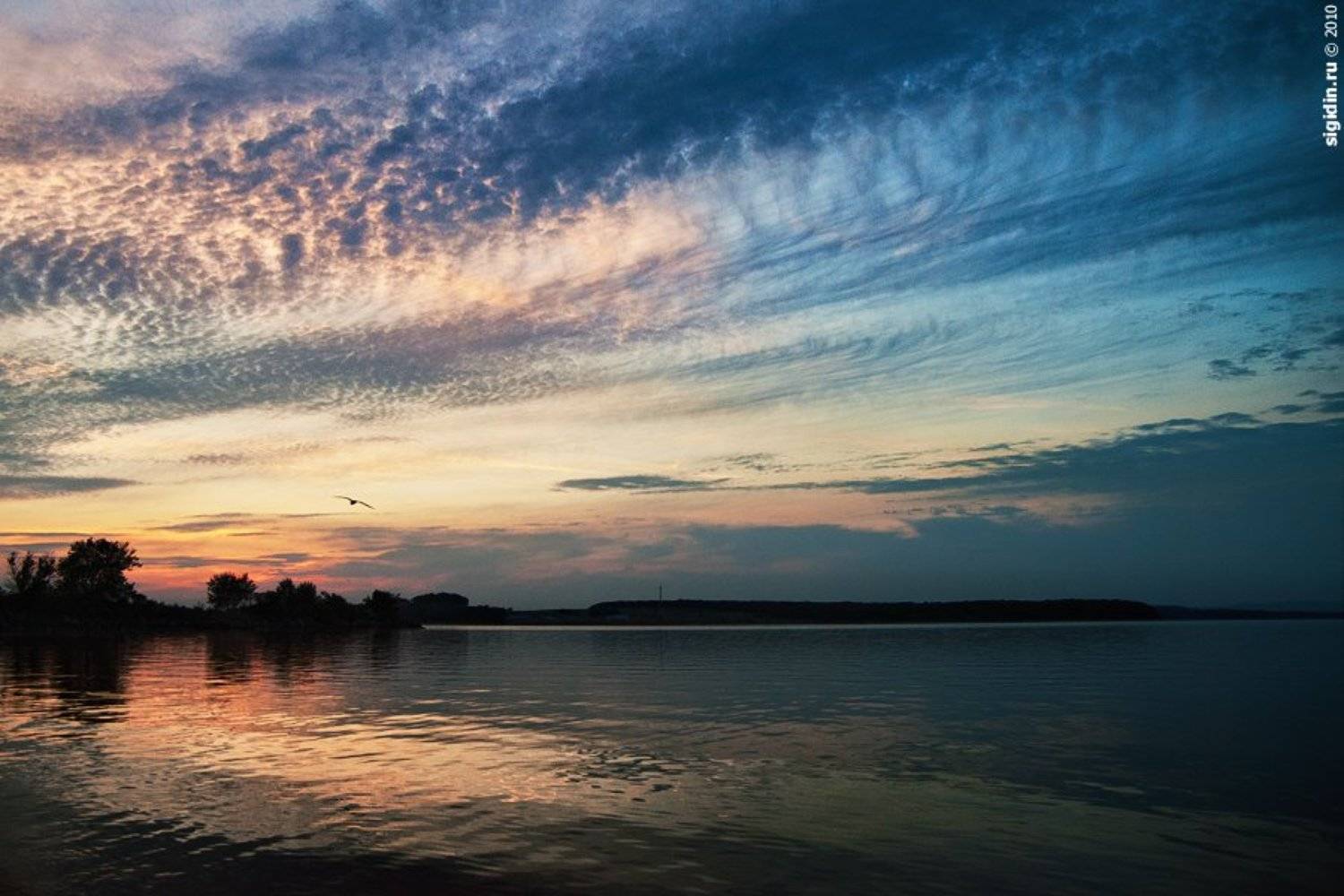 , Данил Сигидин