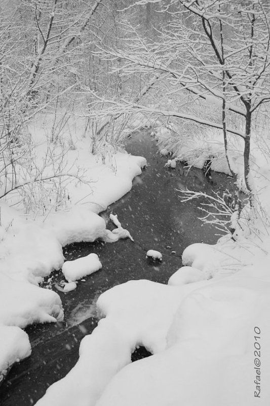 Тихо в лесу журчащий ручейphoto preview