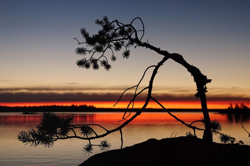 карелия, охта, воронье, озеро, d80 Карельское графитиphoto preview