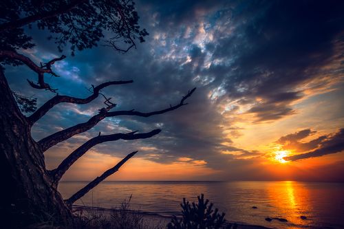 Follow the sun