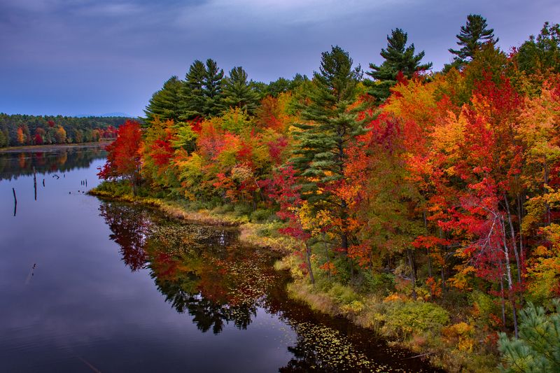 Fall Foliagephoto preview