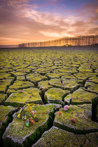 Landscape Photography by Maya V