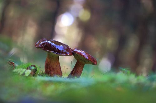 Последние теплые деньки.