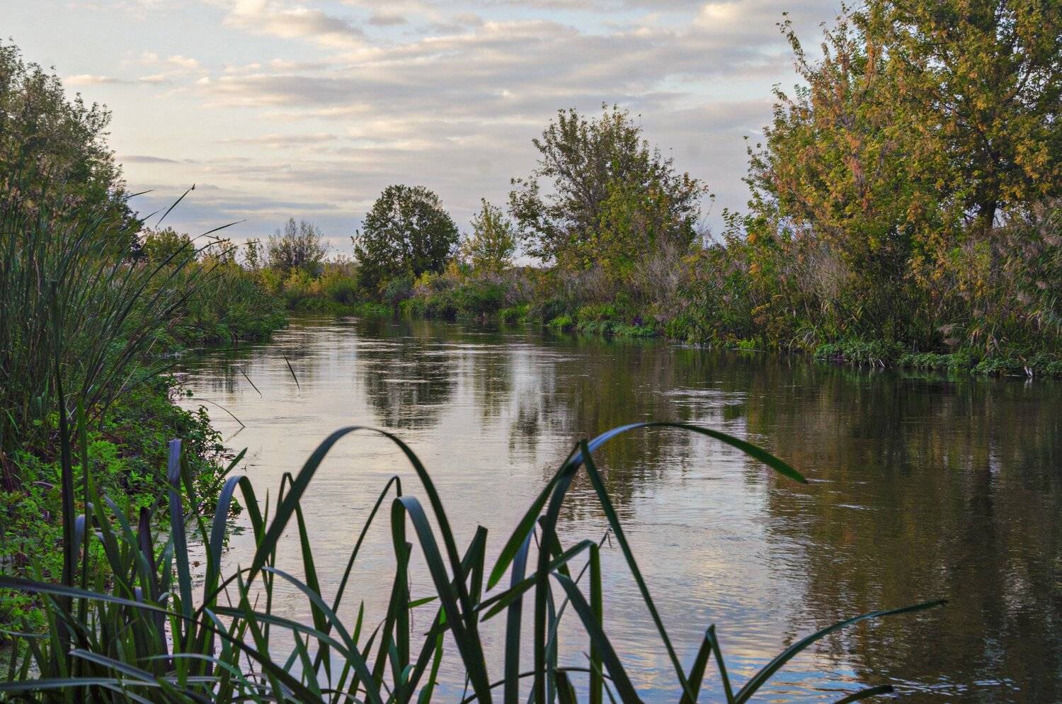 nevant60, березуцкий, _александр, природа, красота, пейзаж, путешествия, дивногорье, Александр Березуцкий