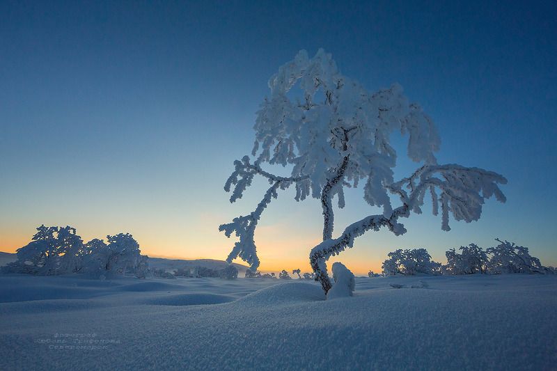 кольский п-ов, пейзаж, природа, зима, иней ***photo preview