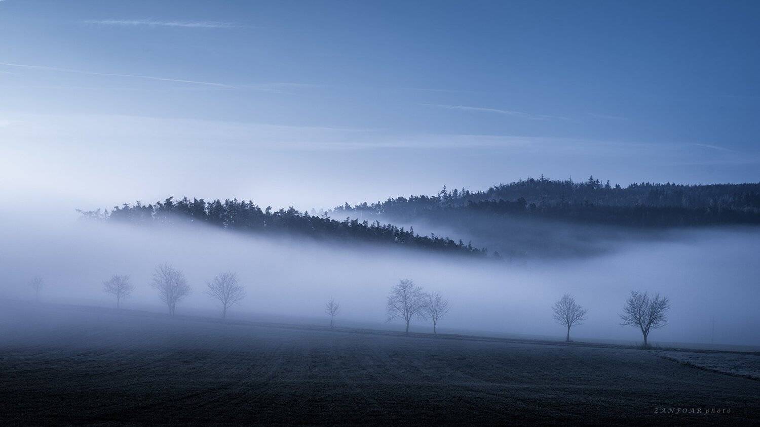 инверсия температуры,инверсия,долина, туман, вуаль, лес, деревья, аллея, осень, дымка,пейзаж, природа, чешская республика,zanfoar,nikon d750,чехия, Zanfoar
