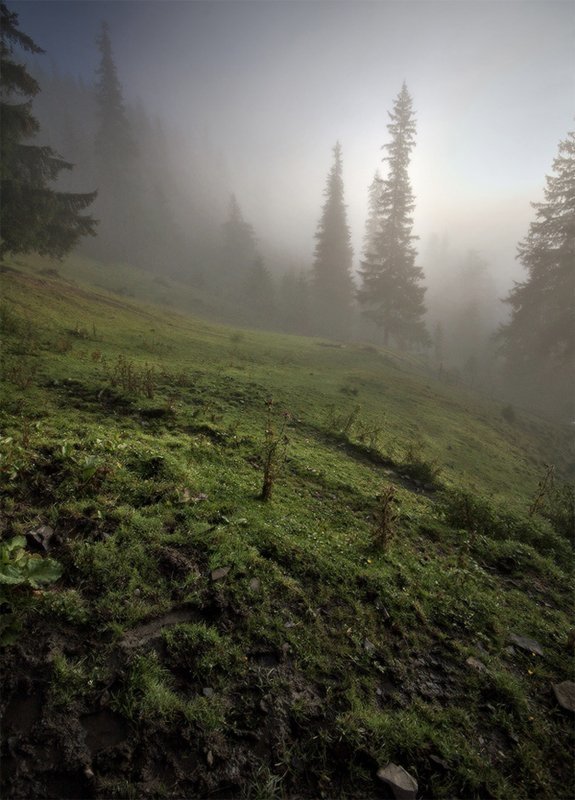 карпаты ***photo preview