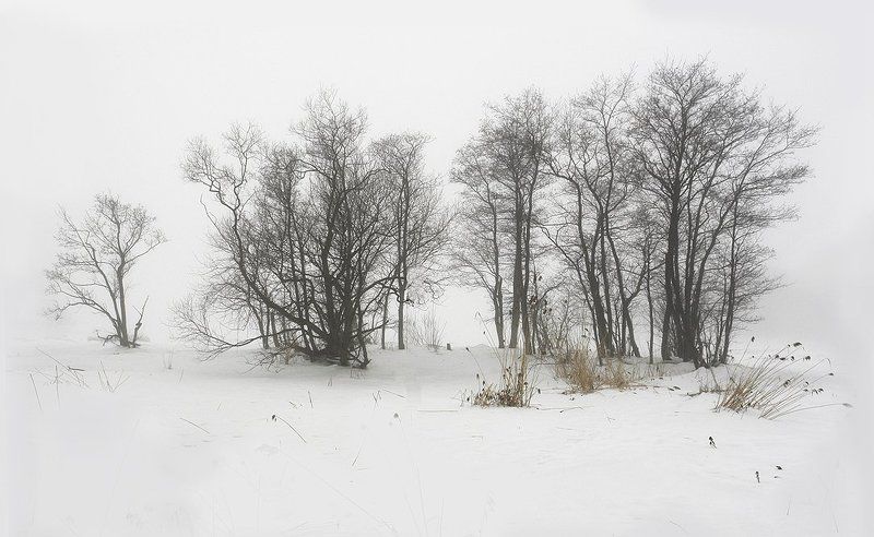 Силуэтыphoto preview